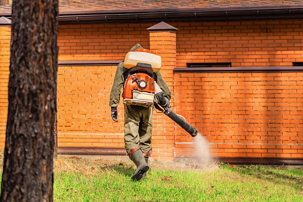 Trusted Rodent Control service in Lee Acres, NM - Nex Pest Control